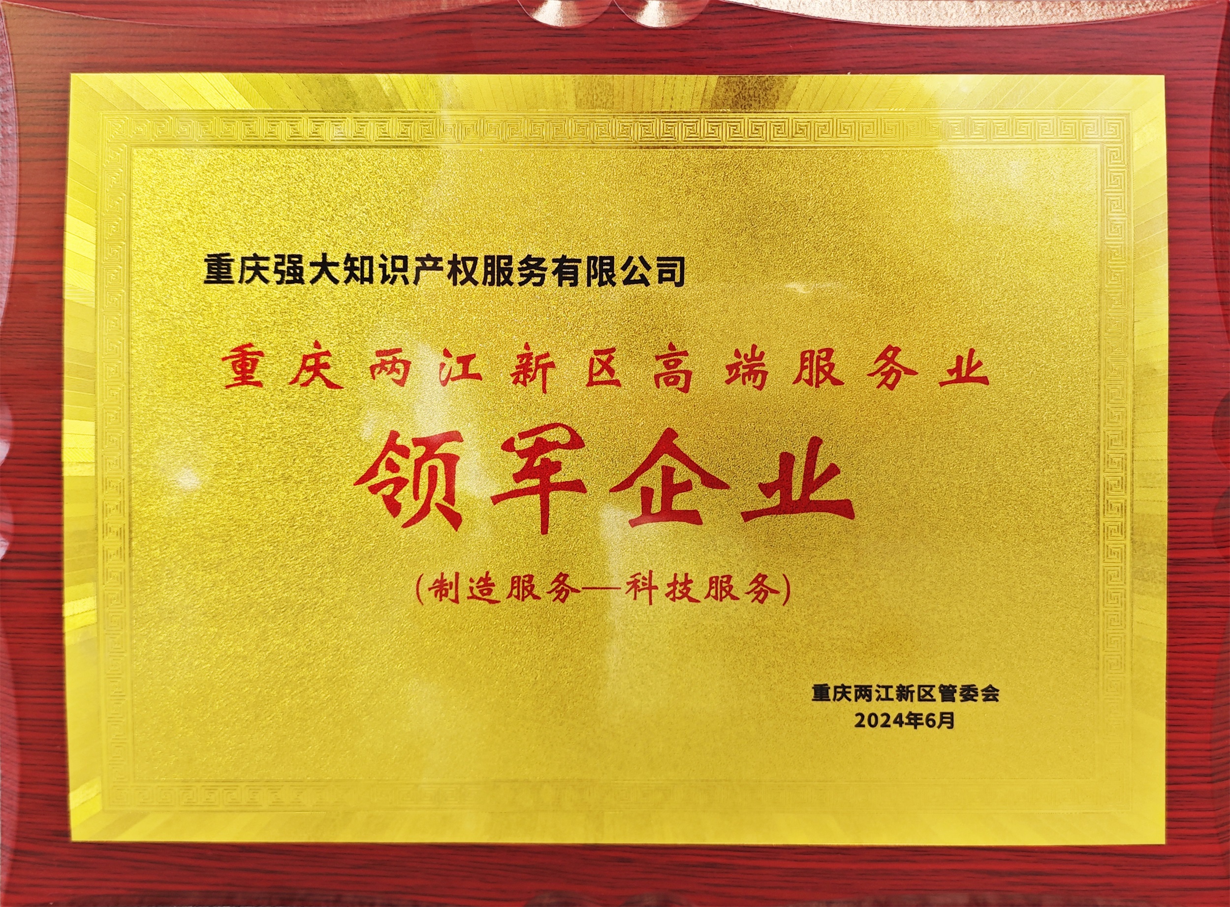 領軍企業(yè)調(diào)亮.jpg
